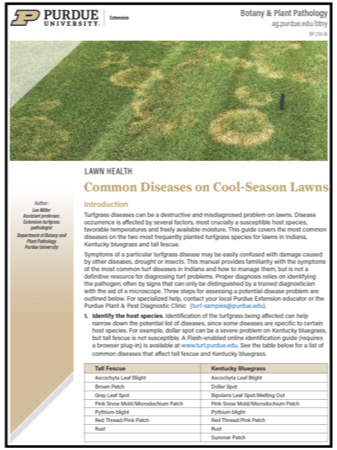 New Lawn Turfgrass Disease Guide available. 