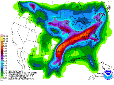 Rain, Rain Go Away? | Purdue University Turfgrass Science at Purdue ...