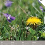 TURF-100 Purdue Extension Publication image of the cover