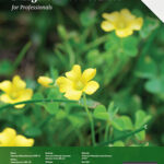 Turfgrass Weed Control for Professionals, 2017