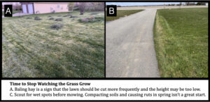 Spring mowing errors, such as scalping and mowing when too wet, can get off the season on the wrong foot.