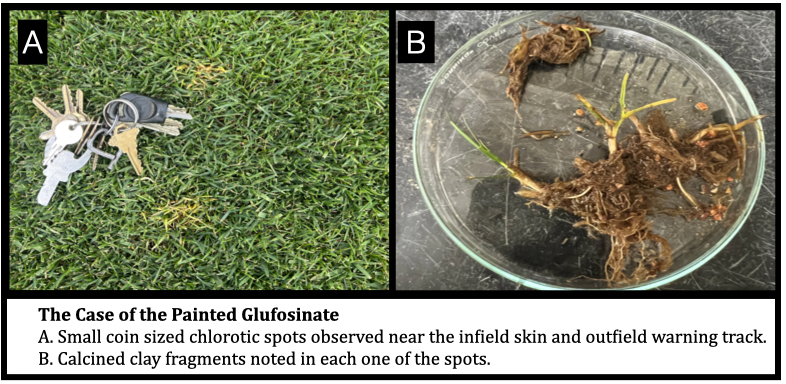 Painted on glufosinate moved with calcined clay pieces moved on player feet. 