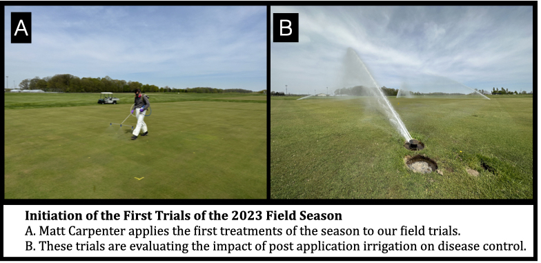 First trial of 2023 underway investigating post application irrigation on disease control on putting greens.