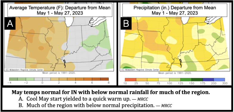 May temps normal for IN with below normal rainfall for much of the region.
Cool May start yielded to a quick warm up. — MRCC
Much of the region with below normal precipitation. — MRCC