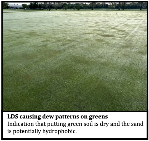 LDS causing dew patterns on greens
Indication that putting green soil is dry and the sand is potentially hydrophobic. 
