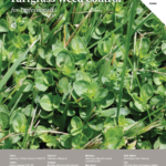 Turfgrass Weed Control for Professionals, 2023
