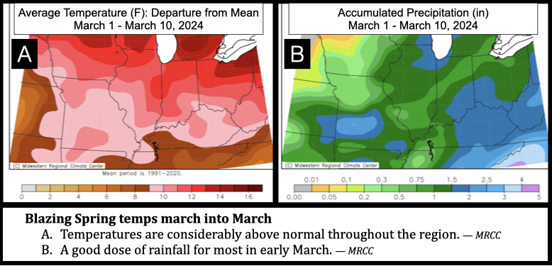 Blazing Spring Temps March into March
Temperatures are considerably above normal throughout the region. — MRCC
A good dose of rainfall for most in early March. — MRCC