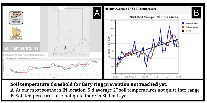 Soil temperature threshold for fairy ring prevention not reached yet.
A. At our most southern IN location, 5 d average 2” soil temperatures not quite into range.
B. Soil temperatures also not quite there in St. Louis yet. 
