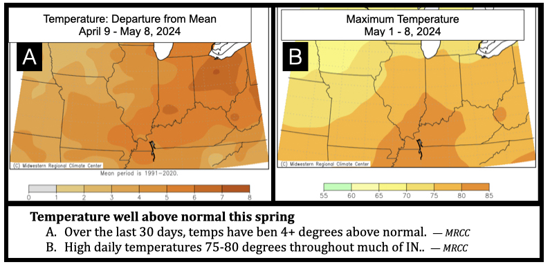 Temperature well above normal this spring
Over the last 30 days, temps have ben 4+ degrees above normal.  — MRCC
High daily temperatures 75-80 degrees throughout much of IN.  — MRCC