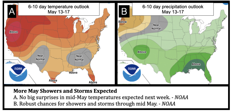 More May Showers and Storms Expected A. No big surprises in mid-May temperatures expected next week. - NOAA B. Robust chances for showers and storms through mid May. - NOAA