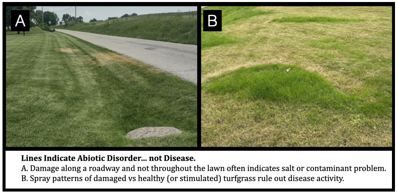 Lines Indicate Abiotic Disorder… not Disease. A. Damage along a roadway and not throughout the lawn often indicates salt or contaminant problem. B. Spray patterns of damaged vs healthy (or stimulated) turfgrass rule out disease activity.