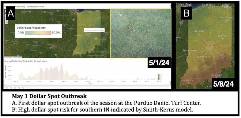 May 1 Dollar Spot Outbreak A. First dollar spot outbreak of the season at the Purdue Daniel Turf Center. B. High dollar spot risk for southern IN indicated by Smith-Kerns model.