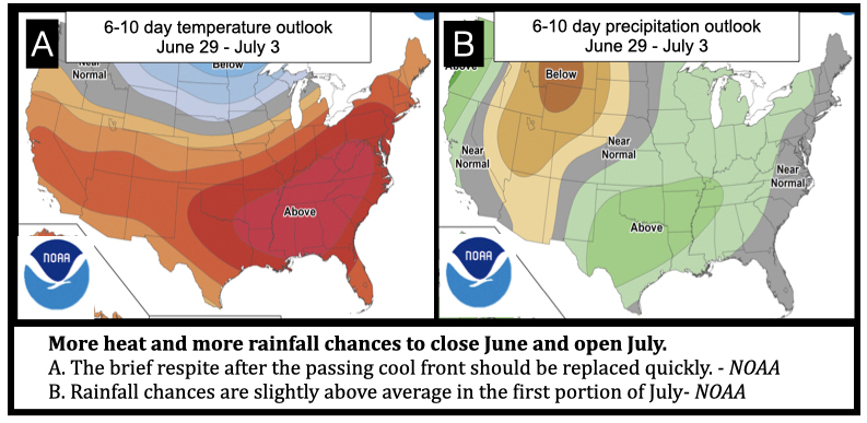 More heat and more rainfall chances to close June and open July.
A. The brief respite after the passing cool front should be replaced quickly. - NOAA
B. Rainfall chances are slightly above average in the first portion of July- NOAA