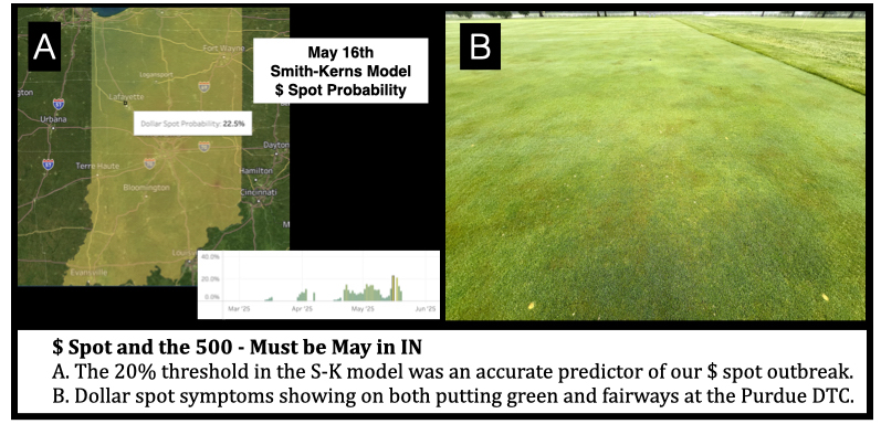 $ Spot and the 500 - Must be May in IN
A. The 20% threshold in the S-K model was an accurate predictor of our $ spot outbreak.
B. Dollar spot symptoms showing on both putting green and fairways at the Purdue DTC.