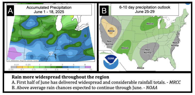 Rain more widespread throughout the region
A. First half of June has delivered widespread and considerable rainfall totals. - MRCC
B. Above average rain chances expected to continue through June. - NOAA