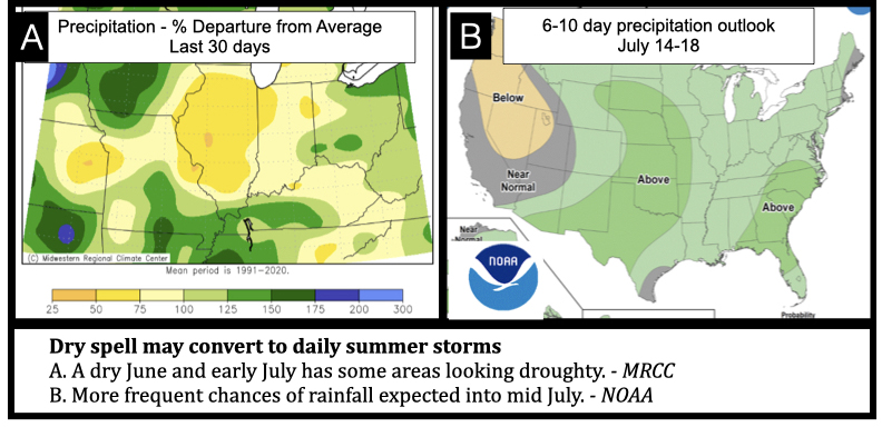 Dry spell may convert to daily summer storms A. A dry June and early July has some areas looking droughty. - MRCC B. More frequent chances of rainfall expected into mid July. - NOAA