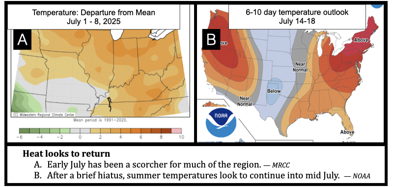 Heat looks to return Early July has been a scorcher for much of the region. — MRCC After a brief hiatus, summer temperatures look to continue into mid July. — NOAA