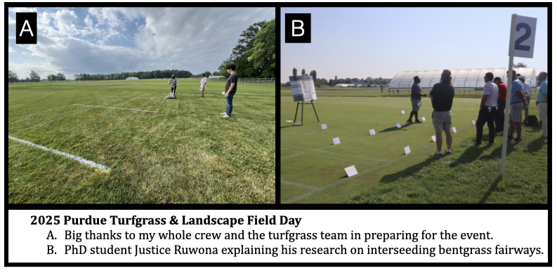 2025 Purdue Turfgrass & Landscape Field Day Big thanks to my whole crew and the turfgrass team in preparing for the event. PhD student Justice Ruwona explaining his research on interseeding bentgrass fairways.