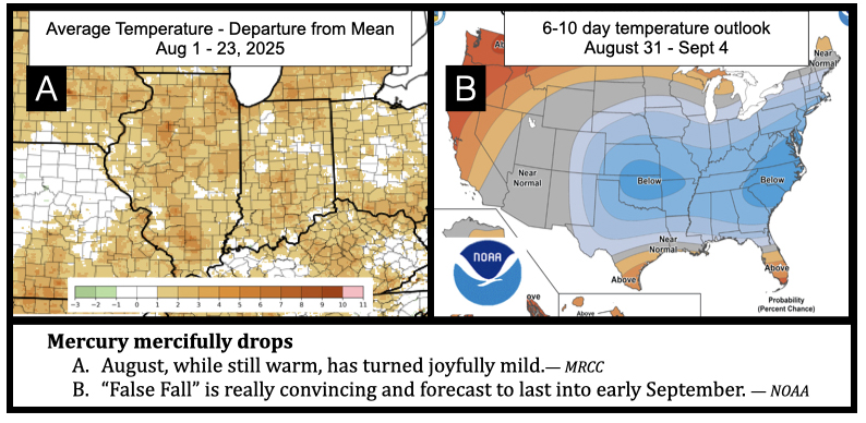 Mercury mercifully drops August, while still warm, has turned joyfully mild.— MRCC “False Fall” is really convincing and forecast to last into early September. — NOAA