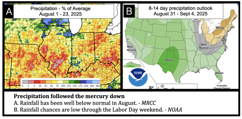 Precipitation followed the mercury down A. Rainfall has been well below normal in August. - MRCC B. Rainfall chances are low through the Labor Day weekend. - NOAA