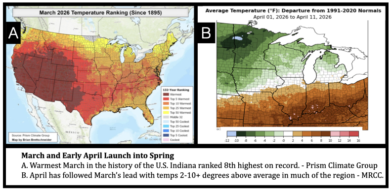 March and Early April Launch into Spring
A. Warmest March in the history of the U.S. Indiana ranked 8th highest on record. - Prism Climate Group
B. April has followed March’s lead with temps 2-10+ degrees above average in much of the region - MRCC.