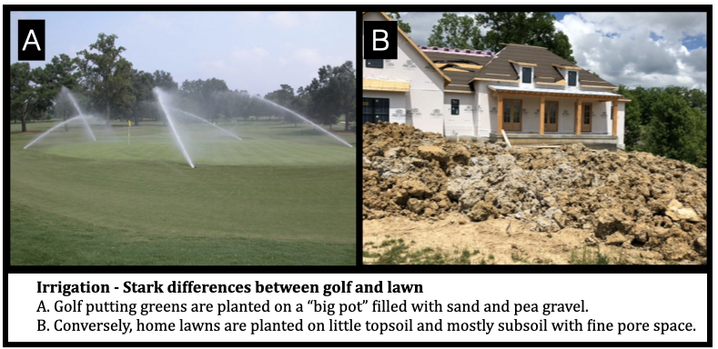Irrigation - Stark differences between golf and lawn A. Golf putting greens are planted on a “big pot” filled with sand and pea gravel. B. Conversely, home lawns are planted on little topsoil and mostly subsoil with fine pore space.