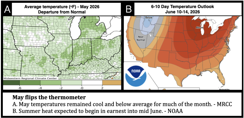 June set to flip the thermometer A. May temperatures remained cool and below average for much of the month. - MRCC B. Summer heat expected to begin in earnest into mid June. - NOAA