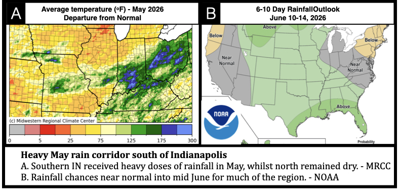 Heavy May rain corridor south of Indianapolis A. Southern IN received heavy doses of rainfall in May, whilst north remained dry. - MRCC B. Rainfall chances near normal into mid June for much of the region. - NOAA