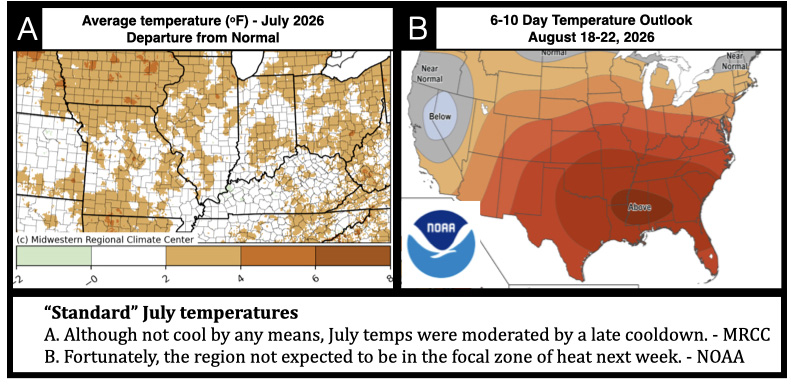 “Standard” July temperatures
A. Although not cool by any means, July temps were moderated by a late cooldown. - MRCC
B. Fortunately, the region not expected to be in the focal zone of heat next week. - NOAA