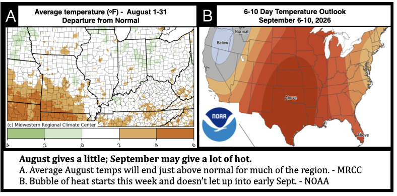 August gives a little; September may give a lot of hot. A. Average August temps will end just above normal for much of the region. - MRCC B. Bubble of heat starts this week and doesn’t let up into early Sept. - NOAA